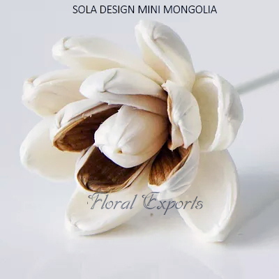SOLA DESIGN MINI MONGOLIA - Sola Wood Flowers with Stems