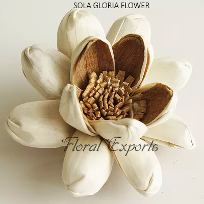 SOLA GLORIA FLOWER - Sola Wood Flowers India