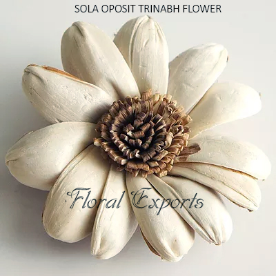 SOLA OPOSIT TRINABH FLOWER - Balsa Wood Flowers with Stems