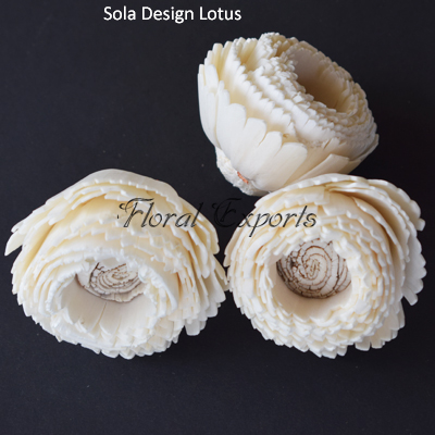 Sola Design Lotus - Shola Flowers Wholesale