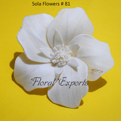 Sola Flowers Design No 81