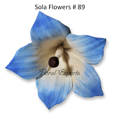 Sola Flowers Design No 89 - Sola Flowers Canada 