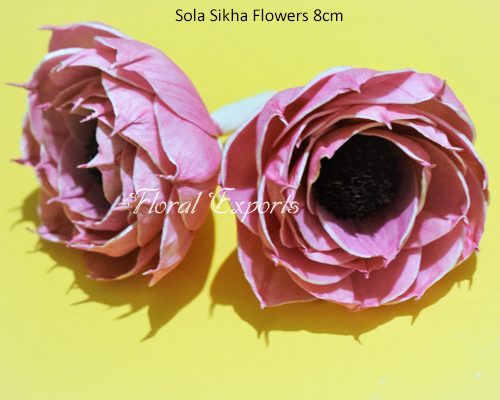 Sola Sikha Flowers 8cm - Shola Wood Flowers Purchase
