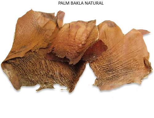 PALM BAKLA NATURAL – Dry Flowers Canada
