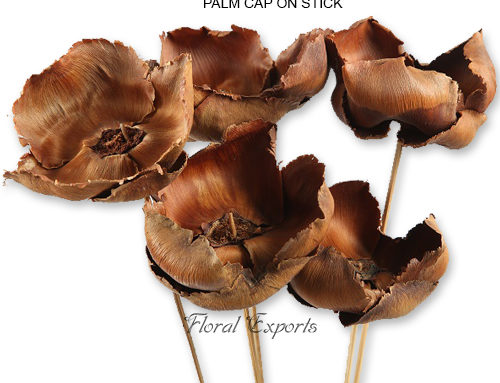 PALM CAP ON STICK – Dry Flowers India