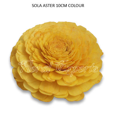 SOLA BELLY 10CM YELLOW