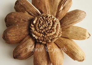 OLA BARK TRINABH FLOWER - Sola Wood Flowers Suppliers