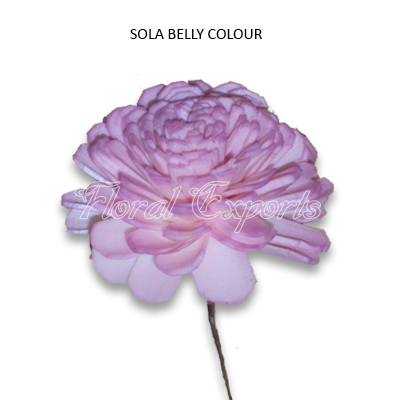 SOLA BELLY COLOR