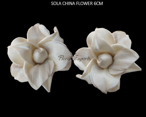 SOLA CHINA FLOWER 6CM