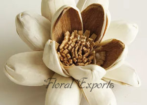 SOLA GLORIA FLOWER - Sola Wood Flowers India