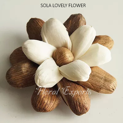 SOLA LOVELY FLOWER - Sola Wood Flowers Wholesale
