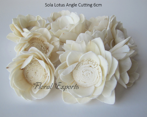 Sola Lotus Angle Cutting 6cm