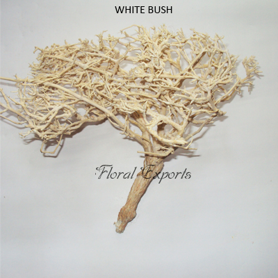 Dry Tree Bleach - Parties séchées de plantes