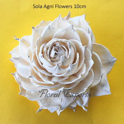Sola Agni Flowers 10cm - Sola Wood Flower Purchase