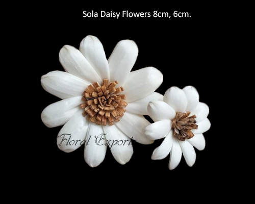 Sola Wood Flowers USA