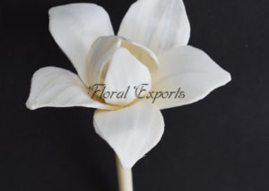 Sola Latali - Sola Flower Diffuser