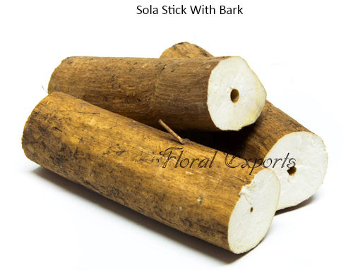 Sola Stick With Bark – Bird toy making parts Canada